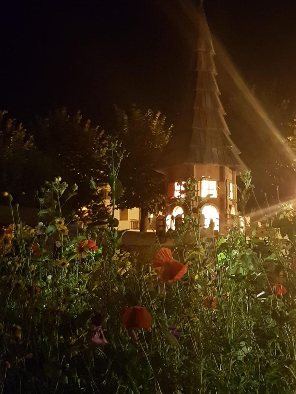 埃德维斯酒店 普雷圣迪迪埃 外观 照片